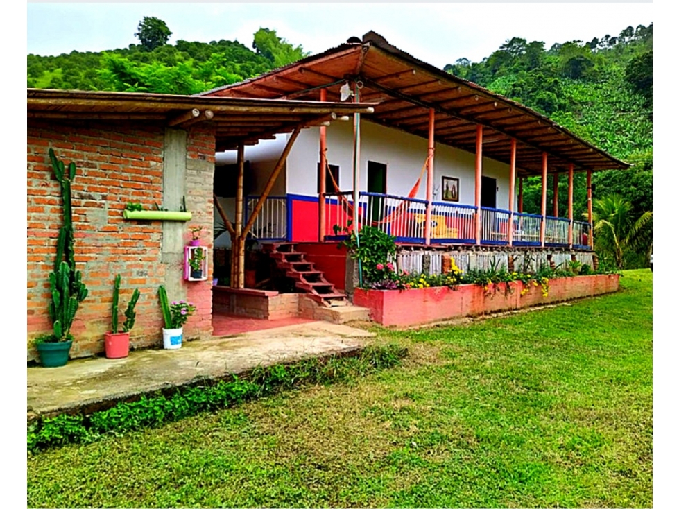 FINCA PRODUCTIVA UBICADA EN CAICEDONIA-VALLE 4845 - 4