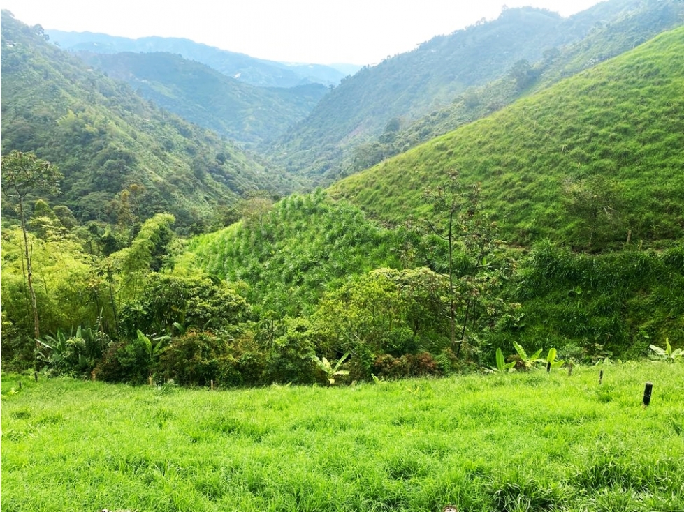 VEN- PERMUTO FINCA BUENAVISTA 4880 - 5