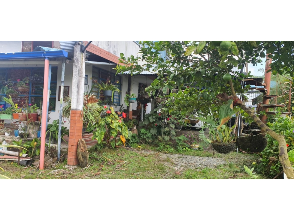 FINCA TIPO CAMPESTRE A MINUTOS DE CIRCASIA 4901 — foto 5