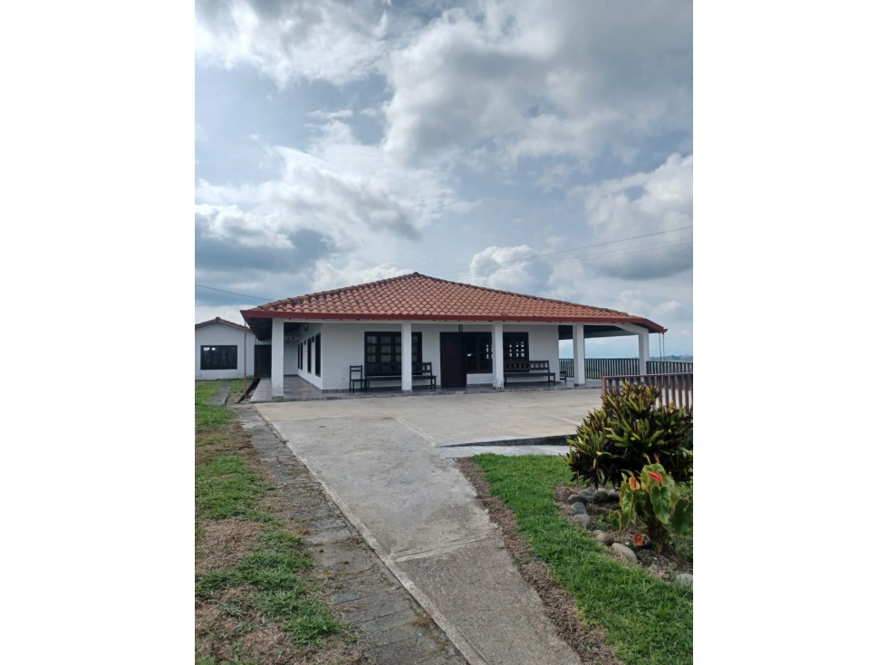 Finca productiva a 12 minutos de circasia — foto 4