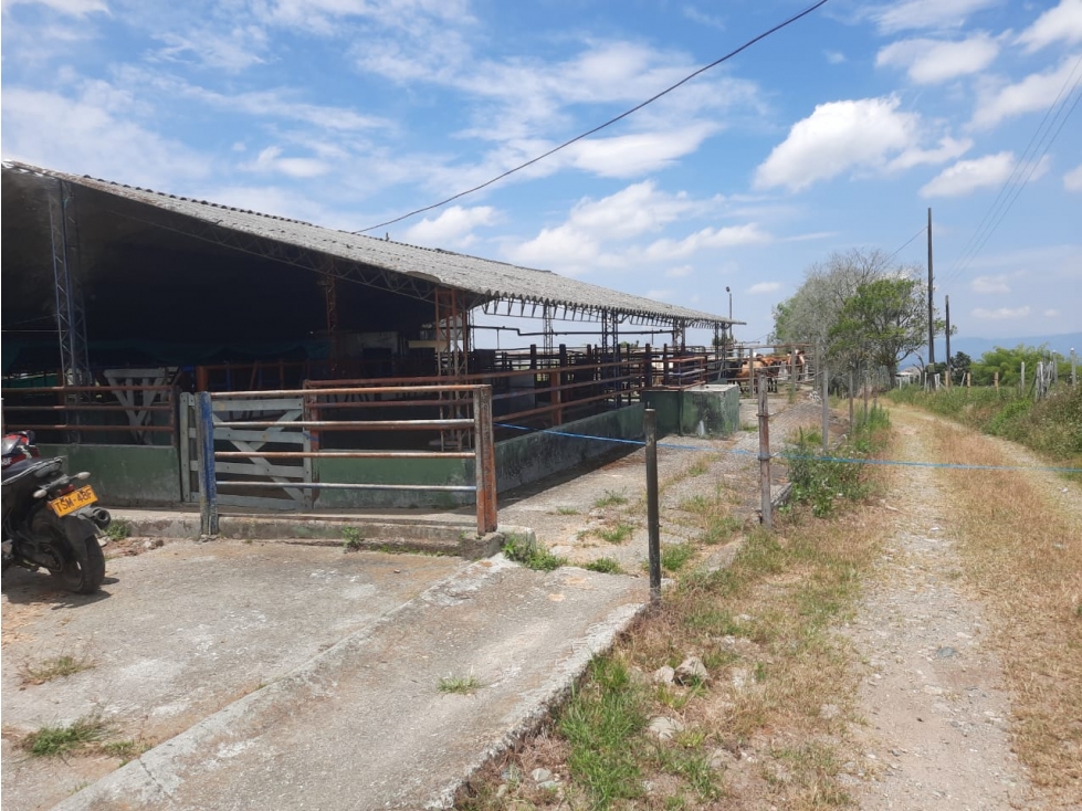 Finca productiva a 15 minutos de Circasia en excelente ubicación — foto 3