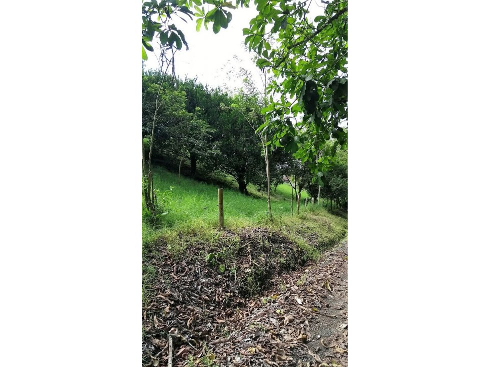 Lote en venta en la Tebaida 5418 - 4
