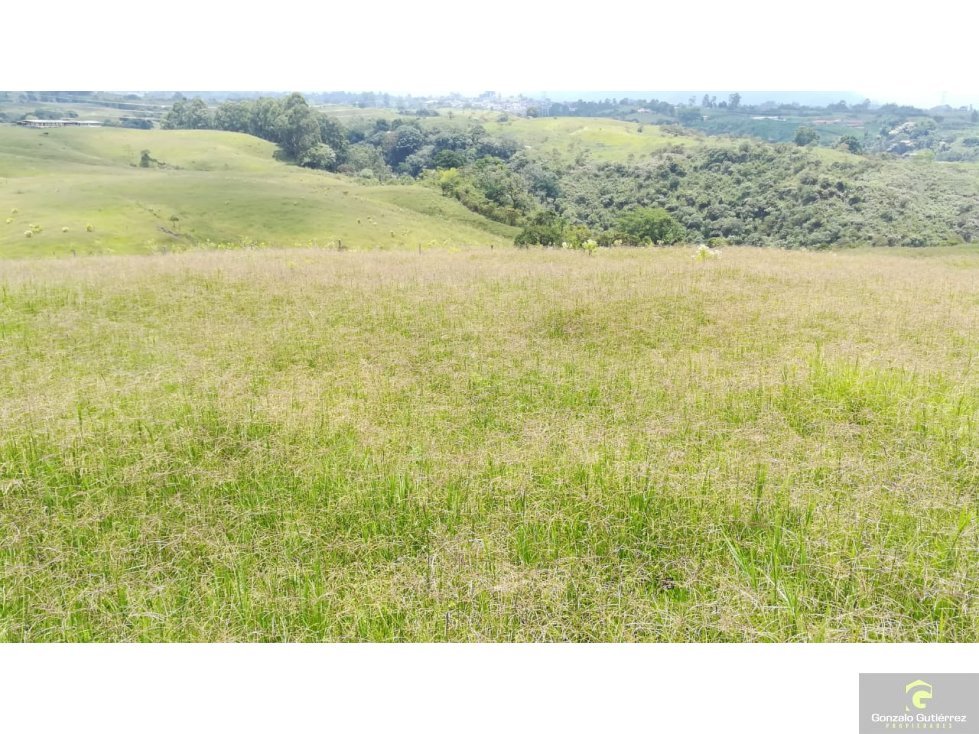 Finca Ganadera Circasia Quindio 4661 — foto 6