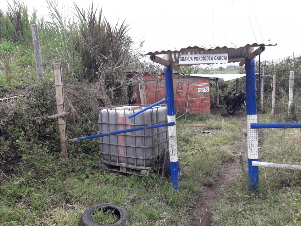 Finca venta Plátano y Cafe Circasia Quindio 4647 — foto 4