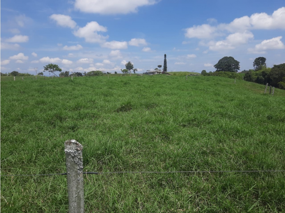 Finca productiva en venta a 10 minutos de circasia - 5