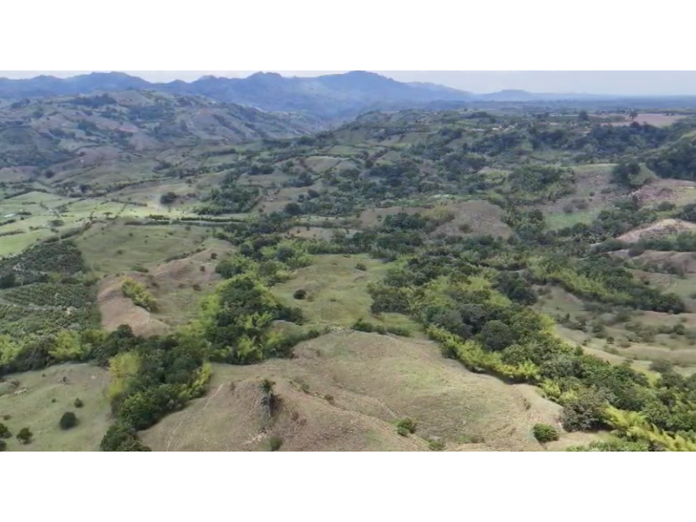 Finca ganadera en venta pueblo tapao montengro 117.2 hectareas - 3