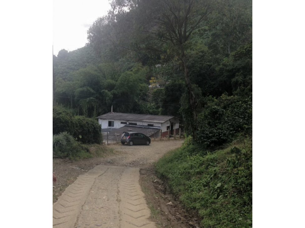 Finca en Venta, Buenavista, Quindio Ref. 4427 - 2
