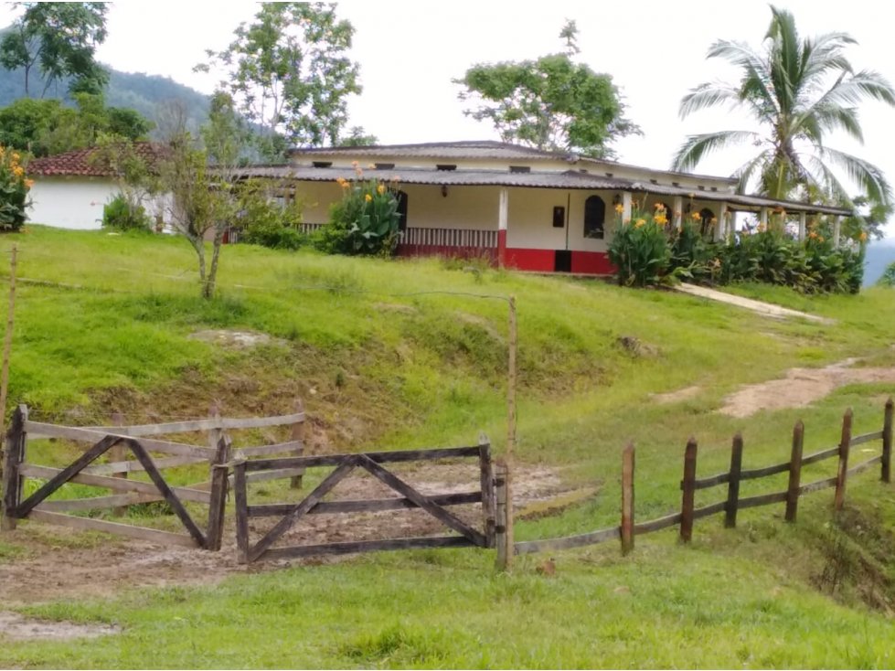 Finca Ganadera y Agrícola en Giron 4731 - 4