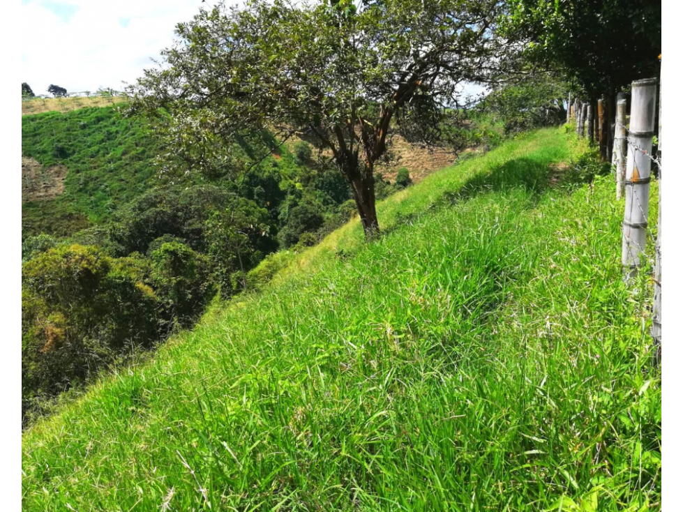 FINCA EN PASTO , SIRVE PARA PLATANO Y CAFÉ EN VENTA 4830 — foto 4
