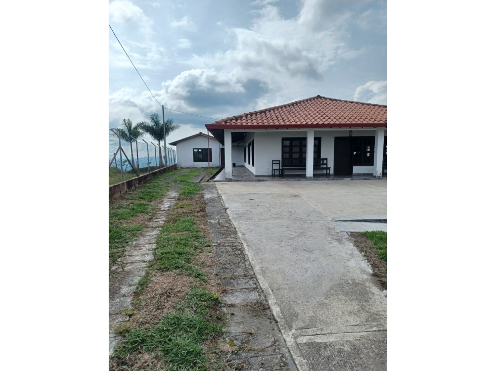 Finca productiva a 12 minutos de circasia — foto 6