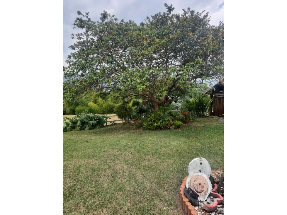 Casa campestre ubicada en circasia en venta — foto 5