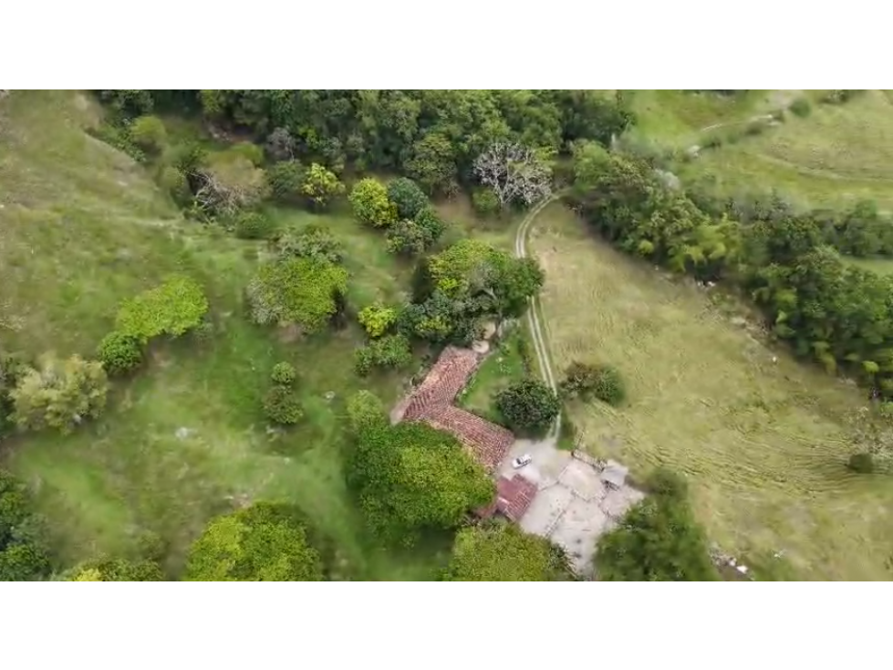 Finca ganadera en venta pueblo tapao montengro 117.2 hectareas - 4