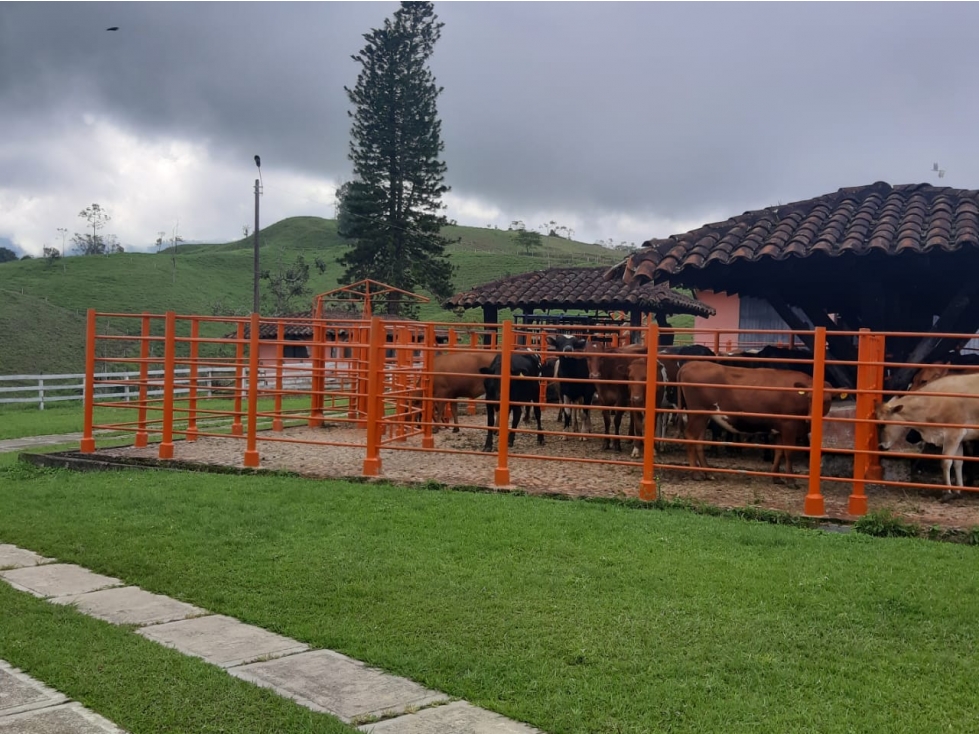 Finca en venta en Sevilla Valle - 4