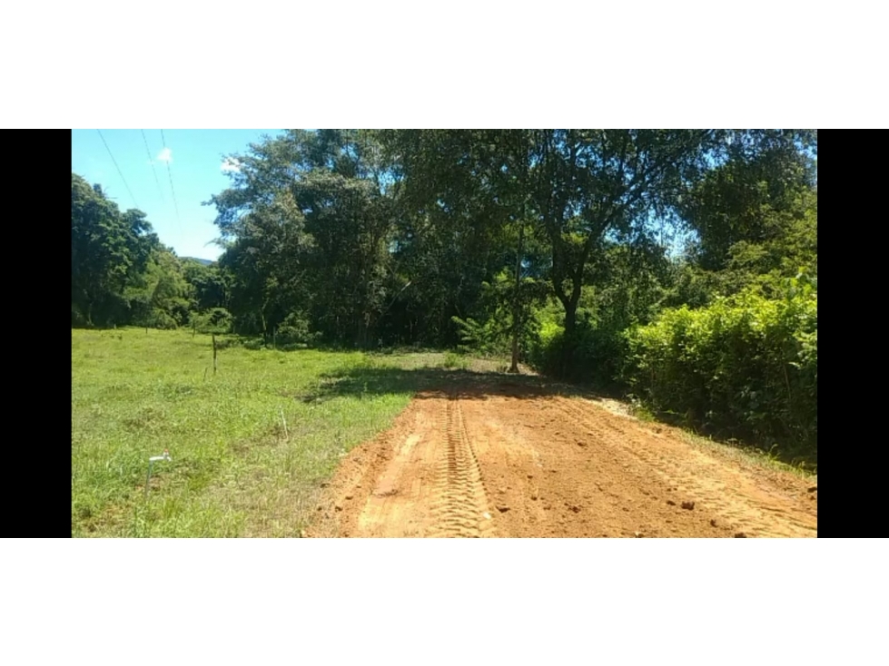 Vendo Lote Carmen de Apicala - 1
