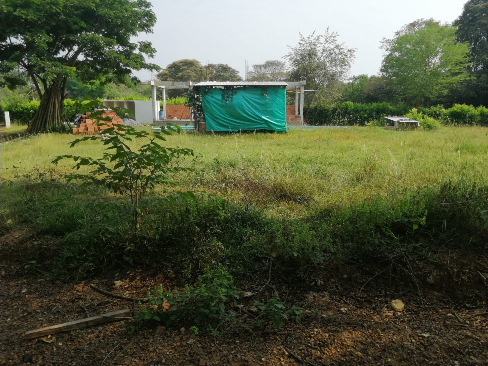 Lote en Venta Carmen de Apicala - 2