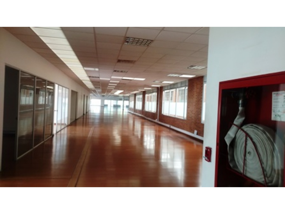 Arriendo Oficina Morato — foto 3
