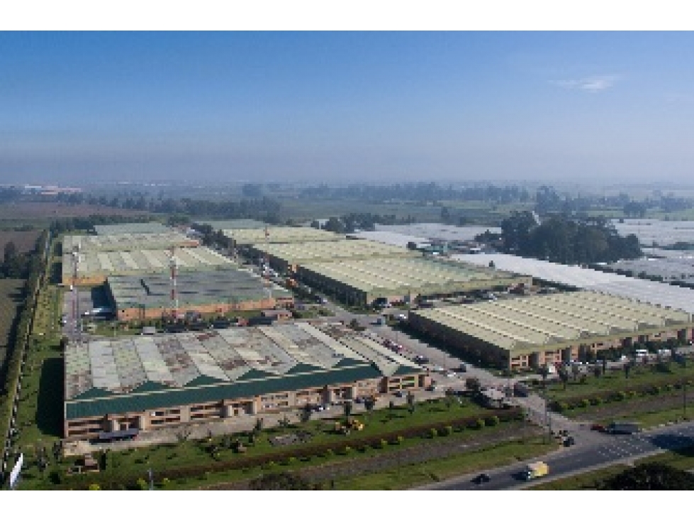 LOGIKA CALL 13 2.730M2 - 5