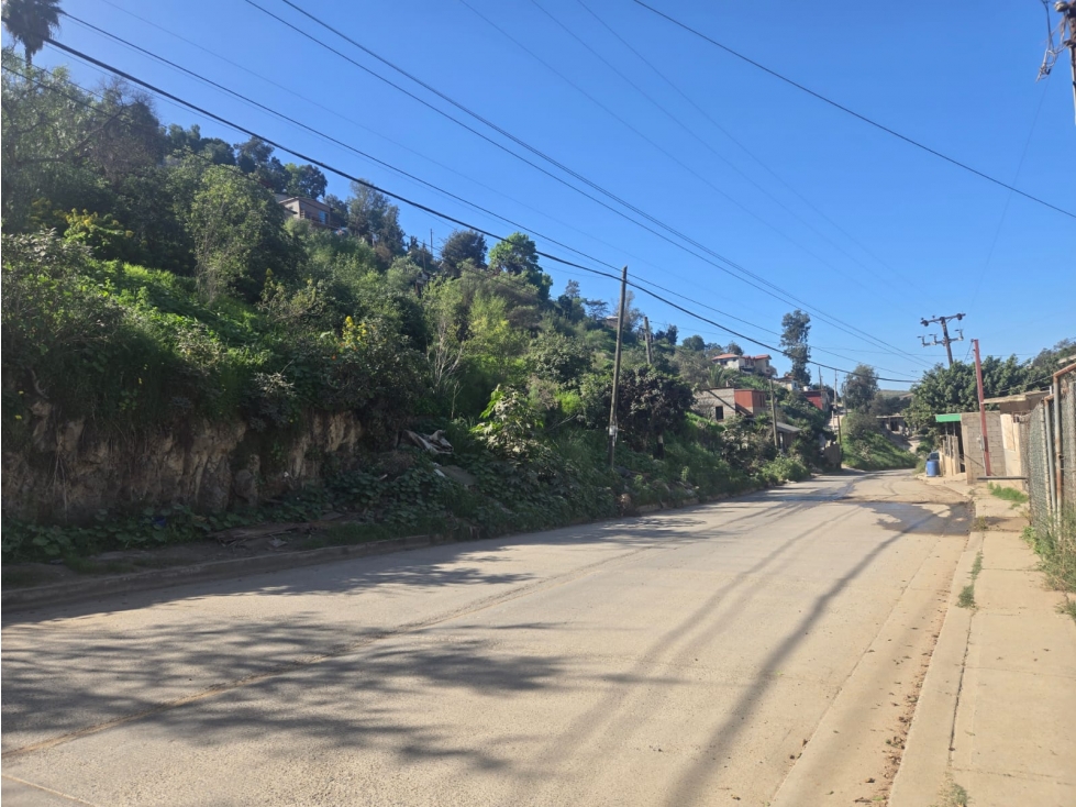 Terreno espacioso, todos los servicios en Colonia Bella Vista — foto 5