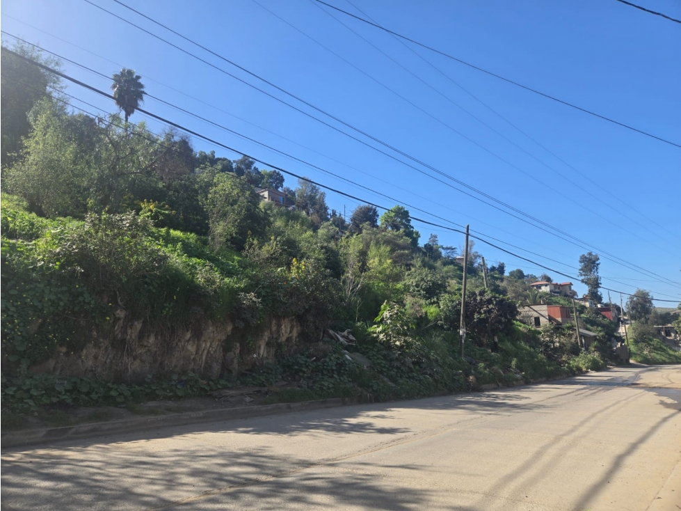 Terreno espacioso, todos los servicios en Colonia Bella Vista — foto 6