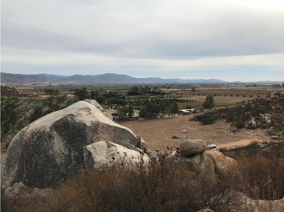 Terreno en Venta en Valle de Guadalupe, Ensenada