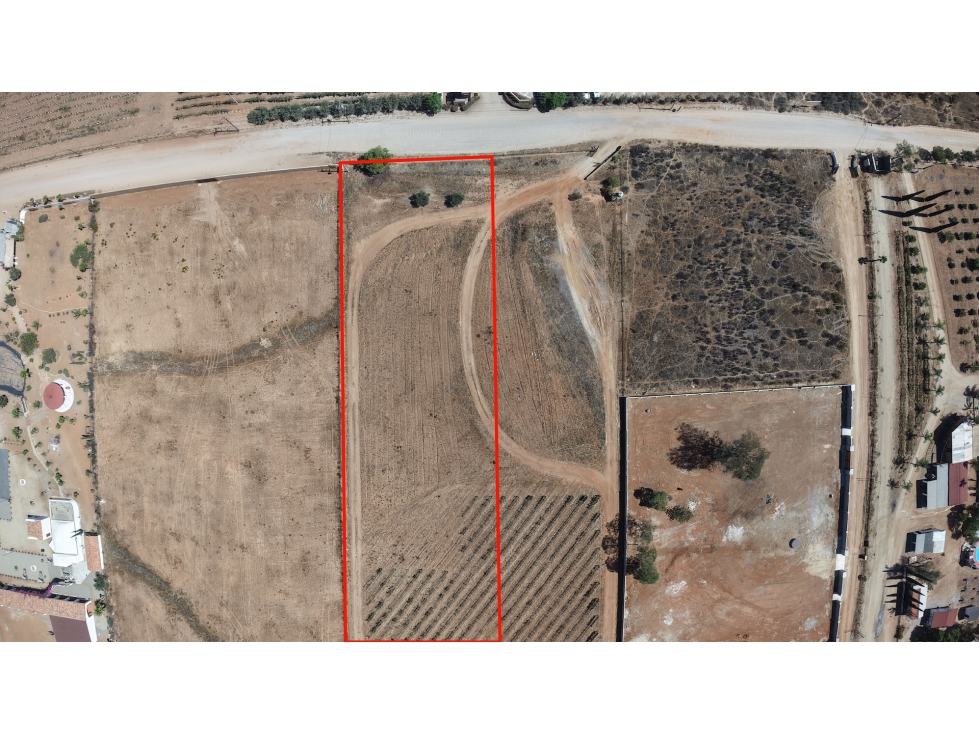 Terreno en Venta en Valle de Guadalupe - 1