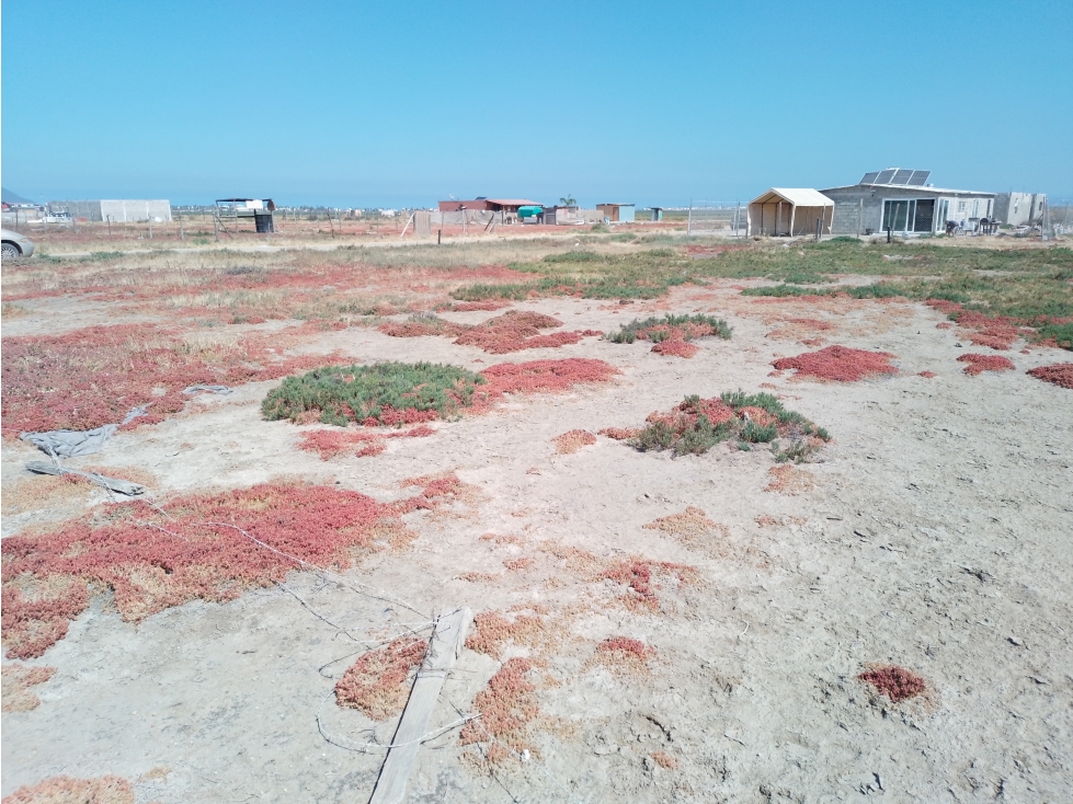 Terrano en Venta Zona Salitral