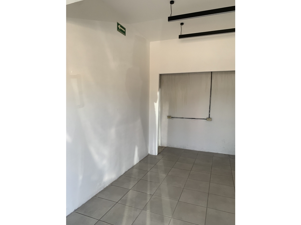 Local Comercial en Renta en Fraccionamiento - 2