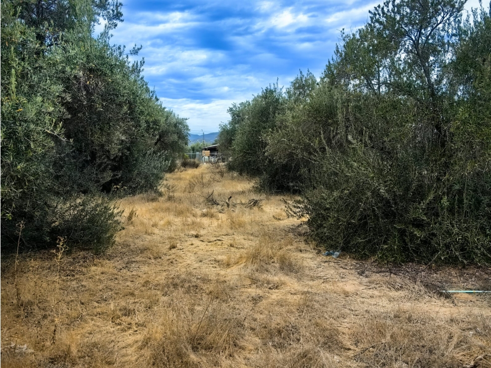 Terreno en Venta en El Porvenir, Ensenada - 2