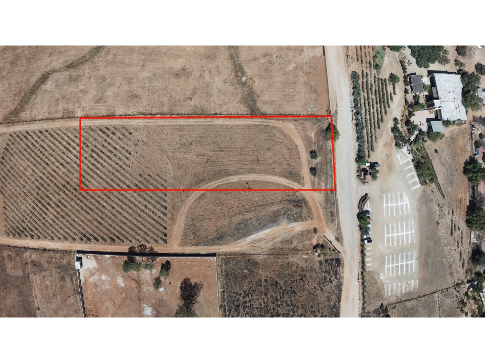 Terreno en Venta en Valle de Guadalupe - 2