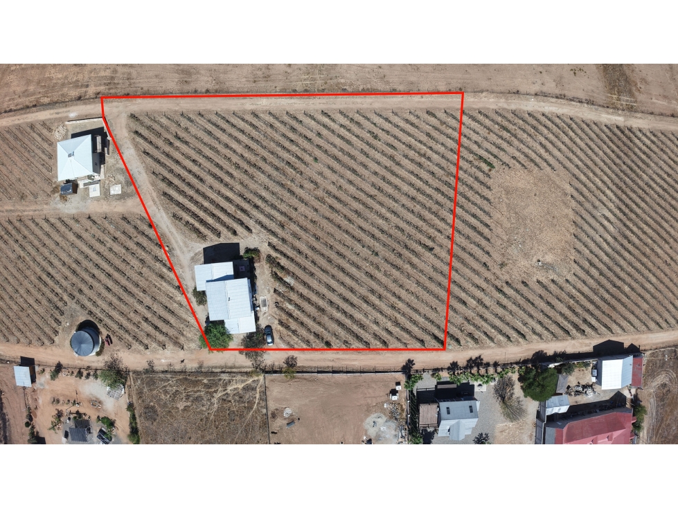 Casa con Viñedo en Venta en Valle de Guadalupe — foto 2