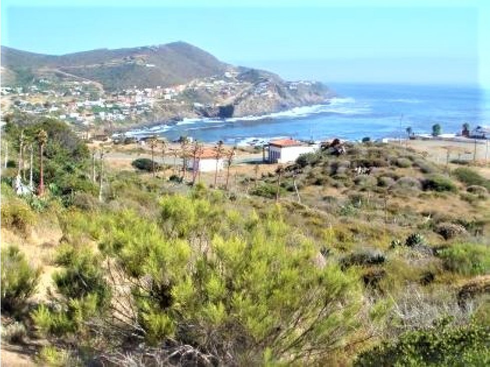Terreno en Venta en La Bufadora