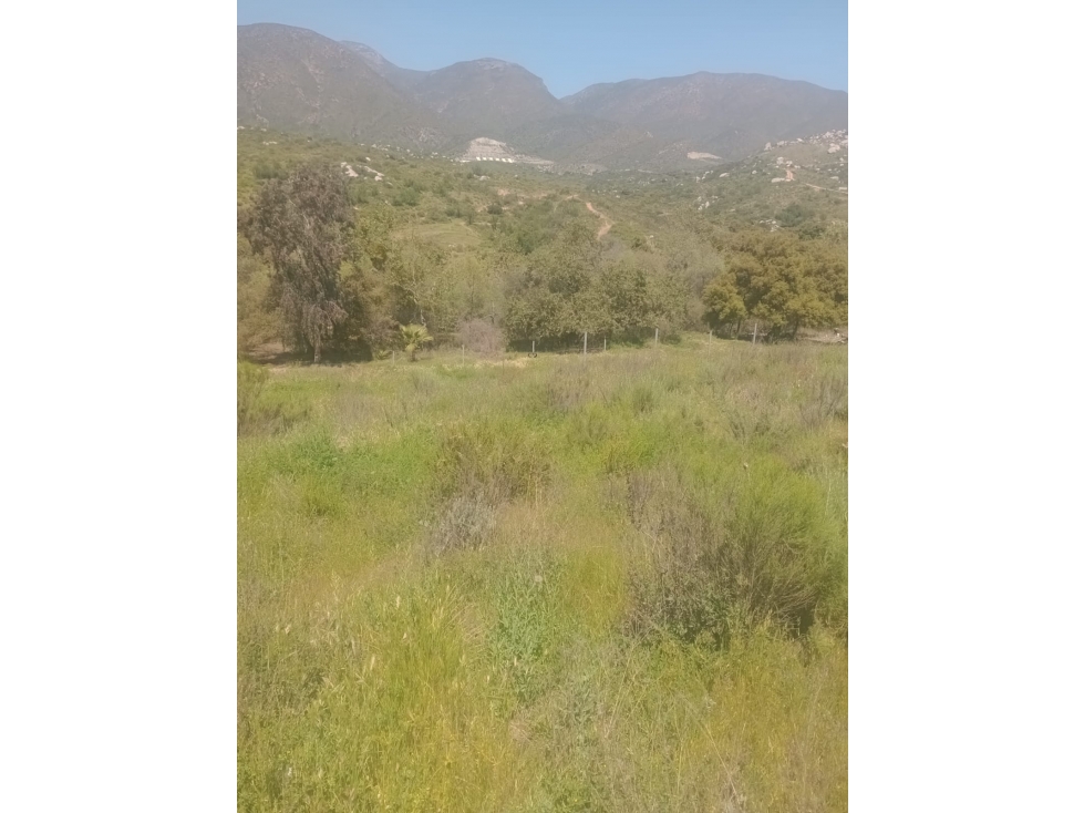 Se vende Hermosa Pradera en Ex Ejido Ruiz Cortínez