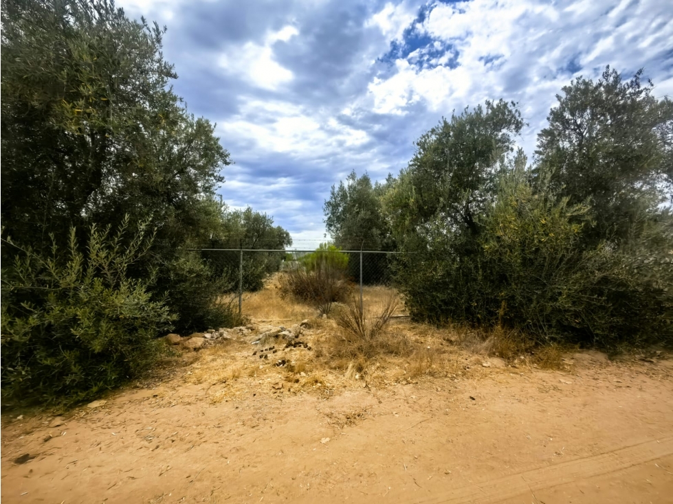 Terreno en Venta en El Porvenir, Ensenada - 3