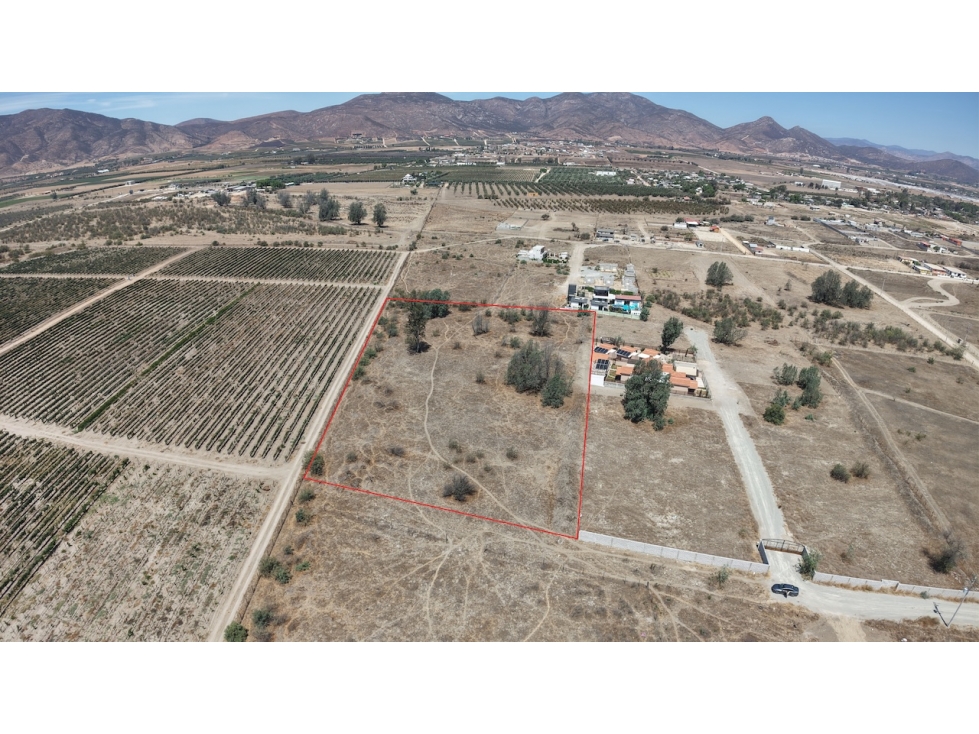 Terreno en venta en Valle de Guadalupe - Oportunidad de Inversión - 3