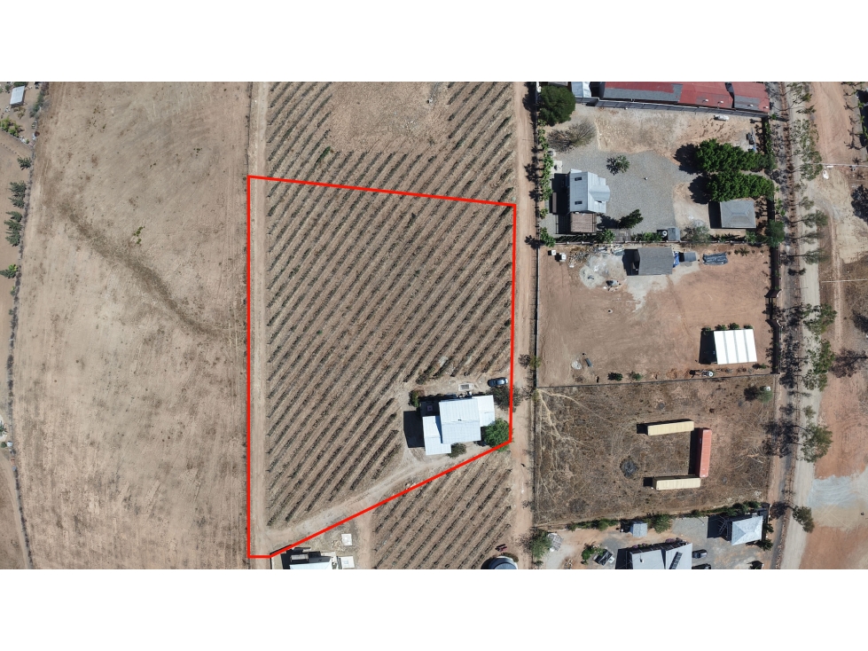 Casa con Viñedo en Venta en Valle de Guadalupe — foto 3