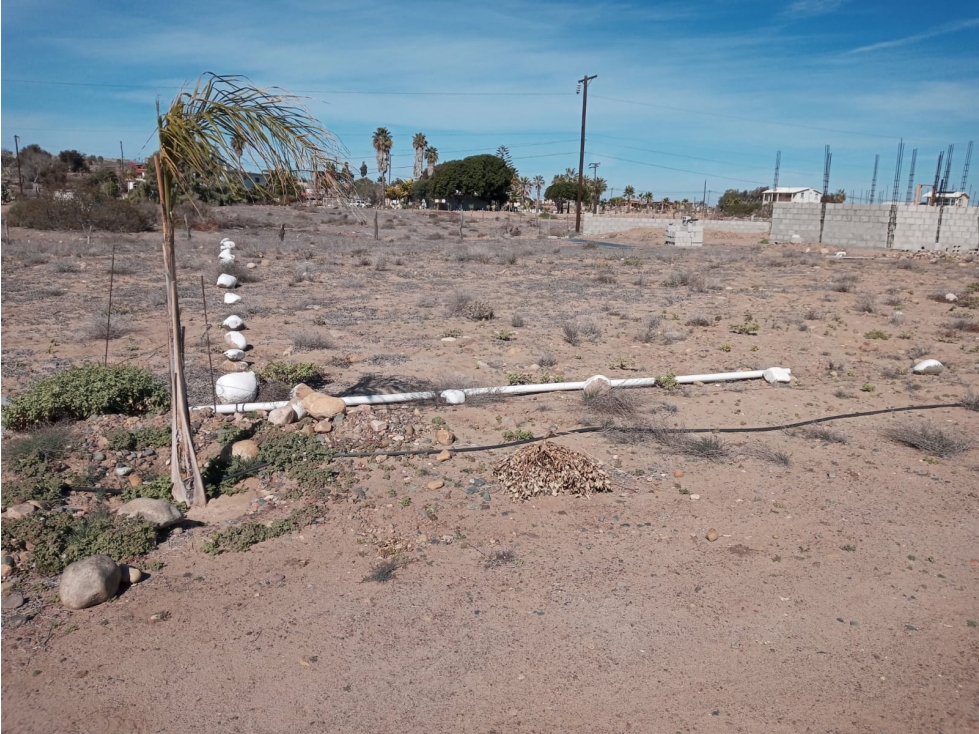 Terrenos en venta en San Quintin, con vista y acceso al mar — foto 4