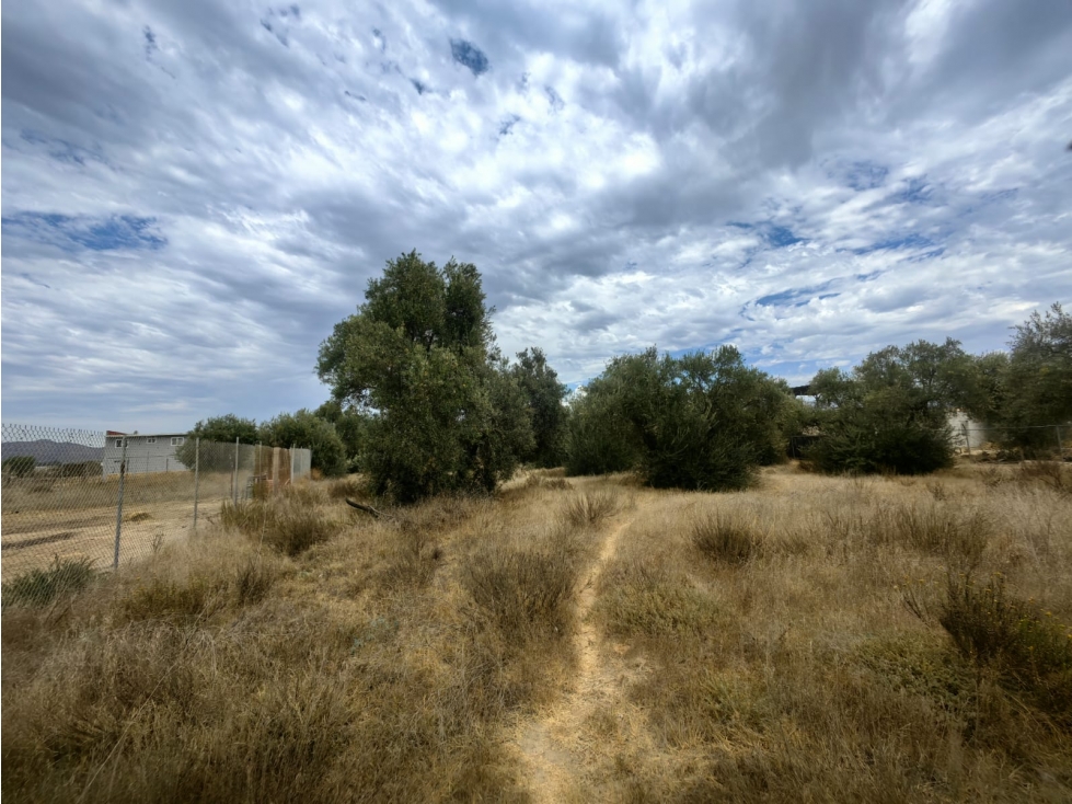 Terreno en Venta en El Porvenir, Ensenada - 4