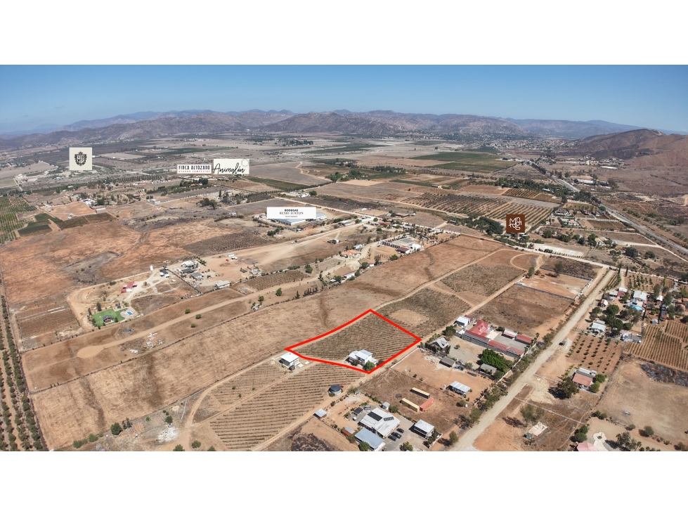 Casa con Viñedo en Venta en Valle de Guadalupe — foto 4