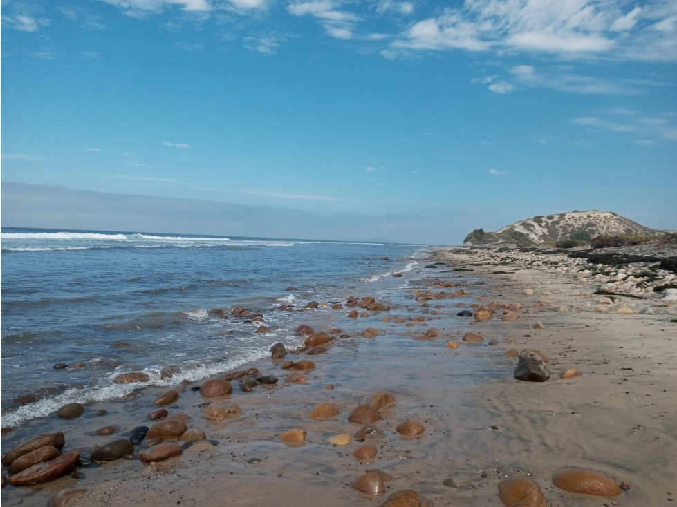 Terrenos en venta en San Quintin, con vista y acceso al mar