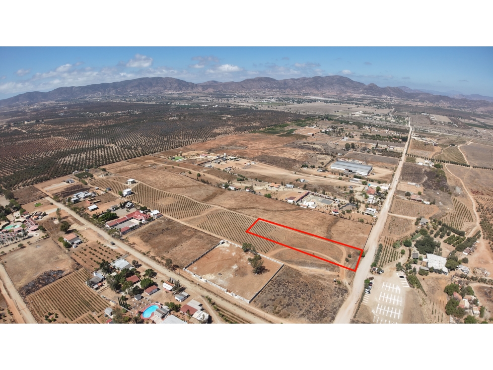Terreno en Venta en Valle de Guadalupe - 5