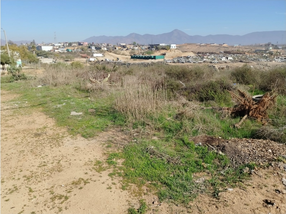 Terreno en Venta en Colonia Gómez Morín