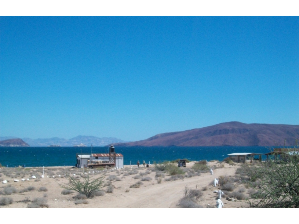 Terreno de oportunidad en Bahía de los Ángeles — foto 2