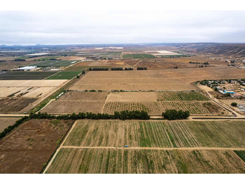 TERRENO EN VENTA EN SAN SIMÓN, SAN QUINTÍN - 6