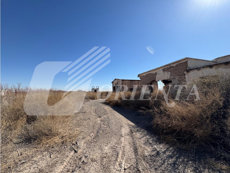 TERRENO COMERCIAL DE 61ha EN VENTA, GUADALUPE BRAVOS, CHIH.