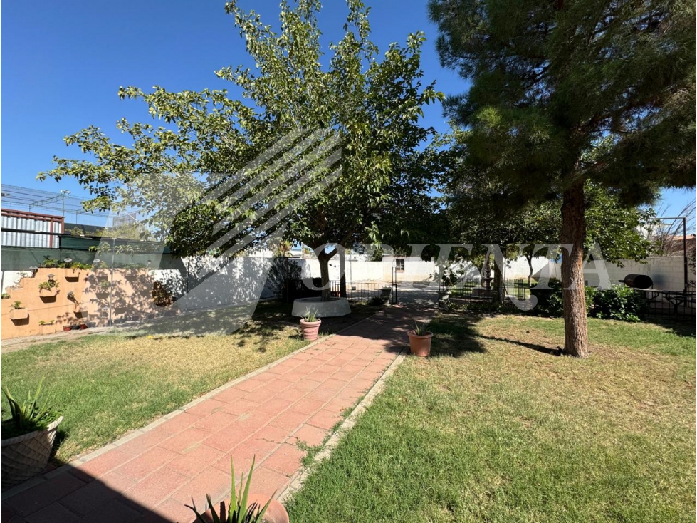 OPCION COMERCIAL EN VENTA FRACC. CONDESA - 3
