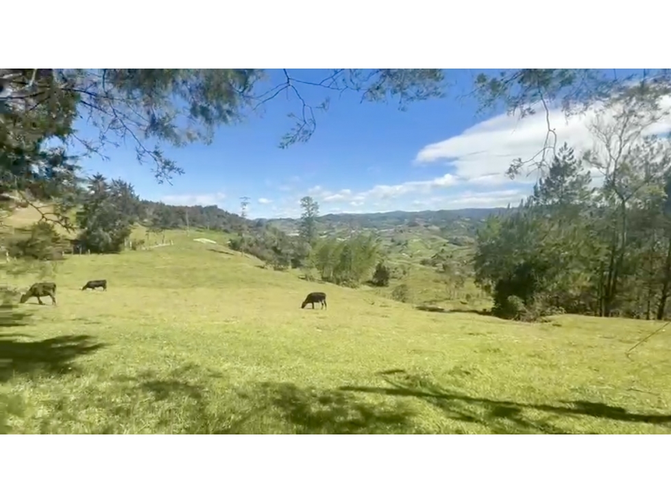 Tierra parcelable de la Autopista Medellín vista cerca autopista — foto 2