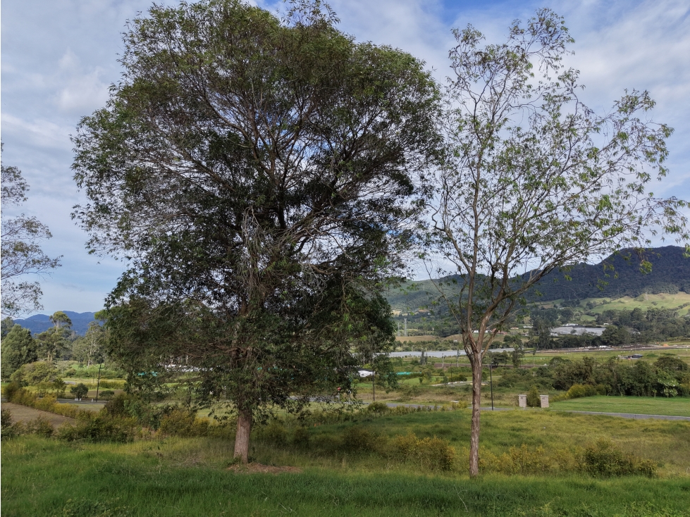 Lote 1710 m² en venta parcelación alta valoración La Ceja Antioquia