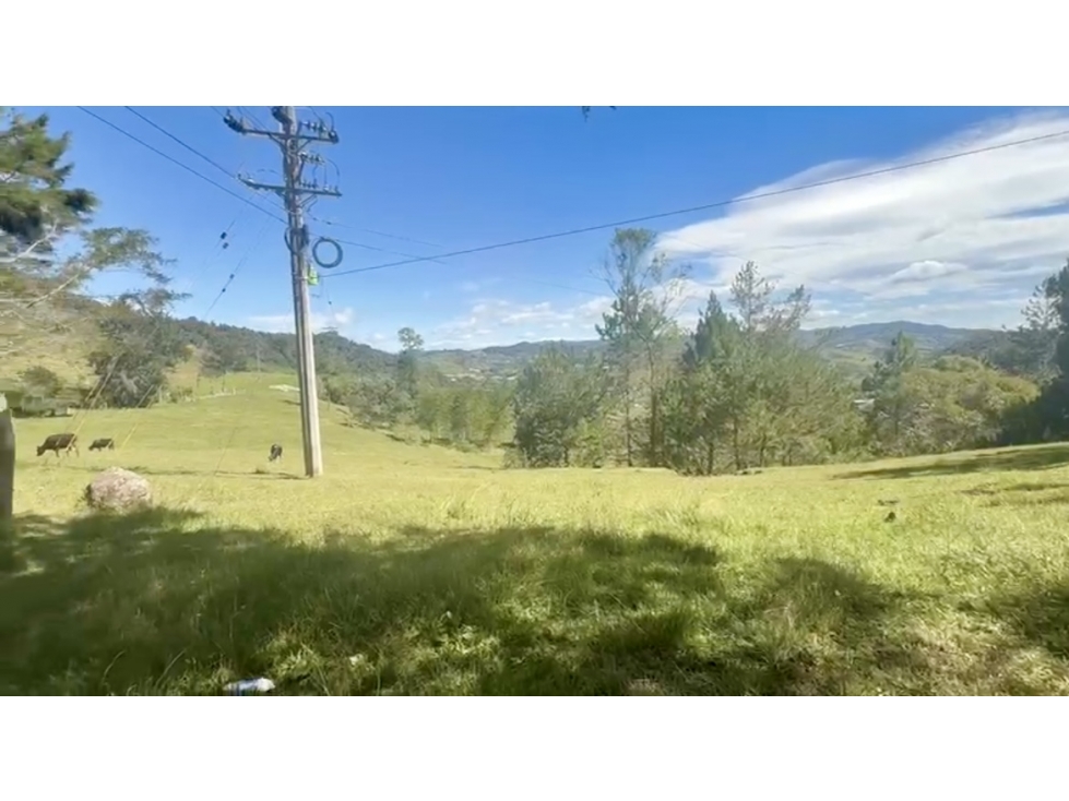 Tierra parcelable de la Autopista Medellín vista cerca autopista — foto 4