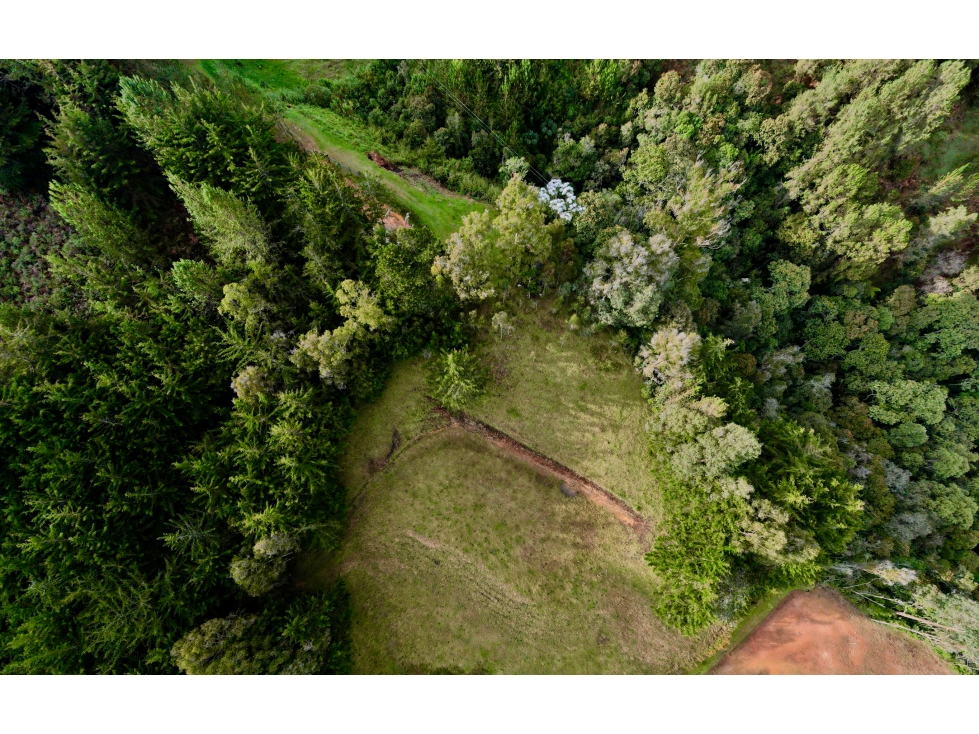 Lote vista panorámica independiente sector tranquilo alta valorización — foto 3