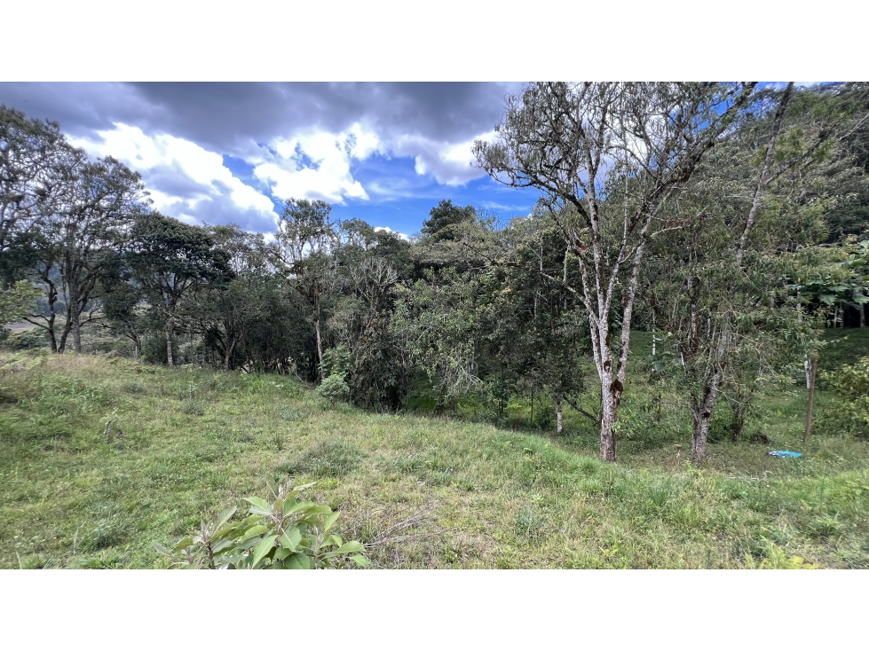 Lote en el Retiro exclusiva parcelación senderos ecológicos — foto 2